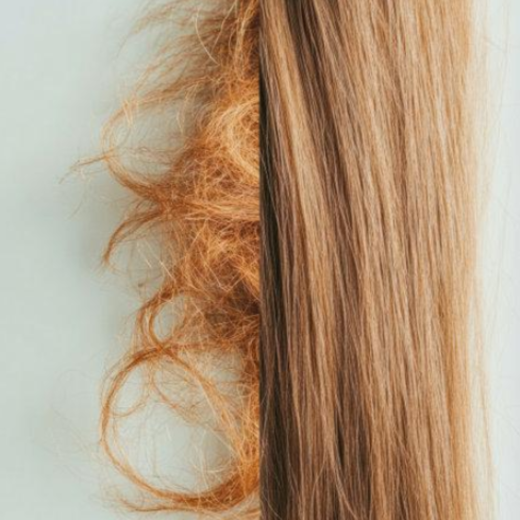 Understanding Hair Breakage